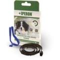 2 Stk. IPERON® Flohhalsband Hund klein 60 cm + Zeckenhaken
