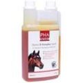 PHA VitaminB- Komplex Liquid für Pferde 1000 ml