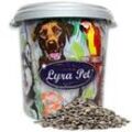 10 kg Lyra Pet® Sonnenblumenkerne gestreift in 30 L Tonne