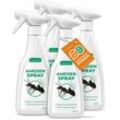 Silberkraft Insektenspray Anti Ameisen Spray