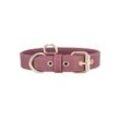Belly´s Hunde-Halsband Hundehalsband aus Leder Doppellagiges Leder XXS-XL -Stylisch mit goldenen Accesoires in vielen Farben und Größen