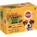 Pedigree Hundefutter Adult im Nassfutter Multipack, Gemischte Selektion in Sauce 12x100g