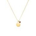 Birthstone January Necklace 14K Gold Plated