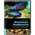Malawisee-Buntbarsche. Tl.1.Tl.1 - Andreas Spreinat, Gebunden