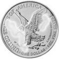 1 Unze Silber American Eagle angelaufen