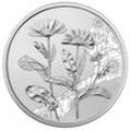 15,56 g Silber 10 Euro Mit der Sprache der Blumen Ringelblume 2022 - Handgehoben