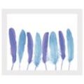 Bild QUEENCE "Bello" Bilder Gr. B/H: 60 cm x 50 cm, Wandbild Federn Querformat, blau (weiß) Kunstdrucke gerahmt, Federn