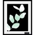 Bild mit Rahmen BRUNO BANANI "Eukalyptus - Gerahmter Digitaldruck Wandbild" Bilder Gr. B/H: 50 cm x 70 cm, Wandbild Hochformat, 1 St., grün Bilder mit Rahmen Holzrahmen - Dekoration