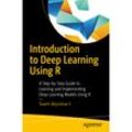 Introduction to Deep Learning Using R - Taweh Beysolow, Kartoniert (TB)