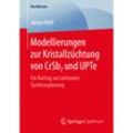 BestMasters / Modellierungen zur Kristallzüchtung von CrSb2 und UPTe - Adrian Wolf, Kartoniert (TB)