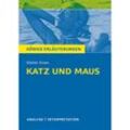 Günter Grass 'Katz und Maus' - Günter Grass, Taschenbuch