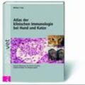 vet / Atlas der klinischen Immunologie bei Hund und Katze - Michael J. Day, Gebunden