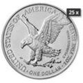 25 x 1 Unze Silber American Eagle 2024