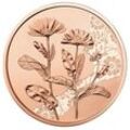 15 g Kupfer 10 Euro Mit der Sprache der Blumen Ringelblume 2022