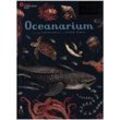 Oceanarium - National Marine Aquarium, Loveday Trinick, Gebunden