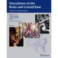 Vasculature of the Brain and Cranial Base - Walter Grand, L. Nelson Hopkins, Adnan H. Siddiqui, J. Mocco, Gebunden