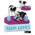 Brain Games - Claire Arrowsmith, Kartoniert (TB)