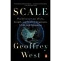 Scale - Geoffrey West, Kartoniert (TB)