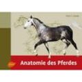 Anatomie des Pferdes - Peter C. Goody, Gebunden