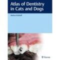 Atlas of Dentistry in Cats and Dogs - Markus Eickhoff, Gebunden