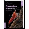 Garnelen im Aquarium - José María Requena, Werner Klotz, Kartoniert (TB)