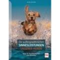 Die außergewöhnlichen Sinnesleistungen unserer Hunde - Bernd Schröder, Gebunden