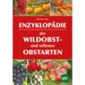 Enzyklopädie der Wildobst- und seltenen Obstarten - Helmut Pirc, Gebunden