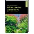 Pflanzen im Aquarium - Maike Wilstermann-Hildebrand, Gebunden