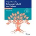 Heilpraktiker-Kolleg - Erkrankungen rund um Schwangerschaft und Geburt - Lernmodul 16 - Maria Niemeyer, Kartoniert (TB)
