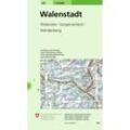 Landeskarte 1:50 000 / 237 Walenstadt, Karte (im Sinne von Landkarte)