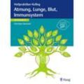 Heilpraktiker-Kolleg - Atmung, Lunge, Blut, Immunsystem - Lernmodul 8 - Christian Neumeir, Kartoniert (TB)