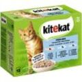 KITEKAT Portionsbeutel Multipack Fisch-Box in Gelee 12 x 85g