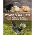 Zwerghühner: Ideale Tiere für jeden Garten - Axel Gutjahr, Kartoniert (TB)
