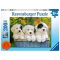 Ravensburger Kinderpuzzle - 12765 Kuschelige Welpen - Hunde-Puzzle für Kinder ab 8 Jahren, mit 200 Teilen im XXL-Format