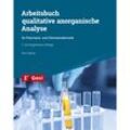 Arbeitsbuch qualitative anorganische Analyse - Dirk Häfner, Kartoniert (TB)