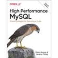 High Performance MySQL - Silvia Botros, Jeremy Tinley, Kartoniert (TB)