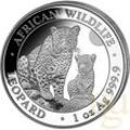 1 Unze Silbermünze Somalia African Wildlife Leopard 2024
