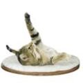 Kerbl Wandliegebrett Dolomit für Katzen, 50 x 35 x 1,5 cm
