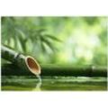 Wallario Wandbild, Bambusquelle Bambusrohr mit Wasser