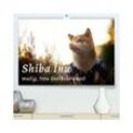 CALVENDO Wandkalender Shiba Inu