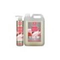 Hydra-Pflegeshampoo hydra care shampoo 5 l. - Ibanez