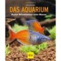 Das Aquarium - Axel Gutjahr, Kartoniert (TB)