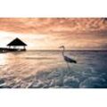 PAPERMOON Fototapete "Flamingo Tropical Beach" Tapeten Gr. B/L: 4,5 m x 2,8 m, Rollen: 1 St., bunt Fototapeten