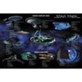Star Trek - Poster Famous Starfleet Ships Collage