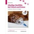 Häufige Notfälle bei Hund und Katze - René Dörfelt, Kartoniert (TB)