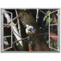 Glasbild ARTLAND "Fensterblick - Blaumeise" Bilder Gr. B/H: 80 cm x 60 cm, Glasbild Vögel Querformat, 1 St., bunt Glasbilder