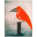 Wandbild ARTLAND "Der Rote Vogel" Bilder Gr. B/H: 60 cm x 80 cm, Leinwandbild Vögel, 1 St., rot Kunstdrucke