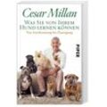 Was Sie von Ihrem Hund lernen können - Cesar Millan, Taschenbuch