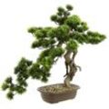 Kunstpflanze I.GE.A. "Bonsai Baum in Schale" Kunstpflanzen Gr. B/H/L: 48 cm x 58 cm x 30 cm, 1 St., grün Künstliche Zimmerpflanzen