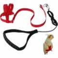 Tovbmup - Verstellbarer Sicherheitsgurt, Haustierleine, Anti-Biss-Seil, für Papageien, Papageien, elastischer Gürtel, King Kong (rot, m)